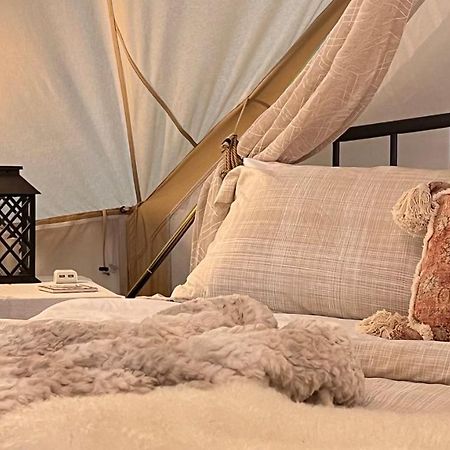Shenandoah Valley Glamping - Amazing Views - Farm Edinburg Exteriér fotografie