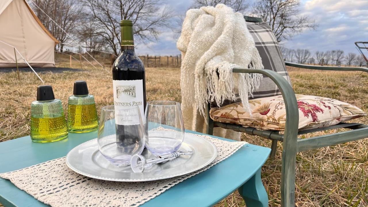Shenandoah Valley Glamping - Amazing Views - Farm Edinburg Exteriér fotografie