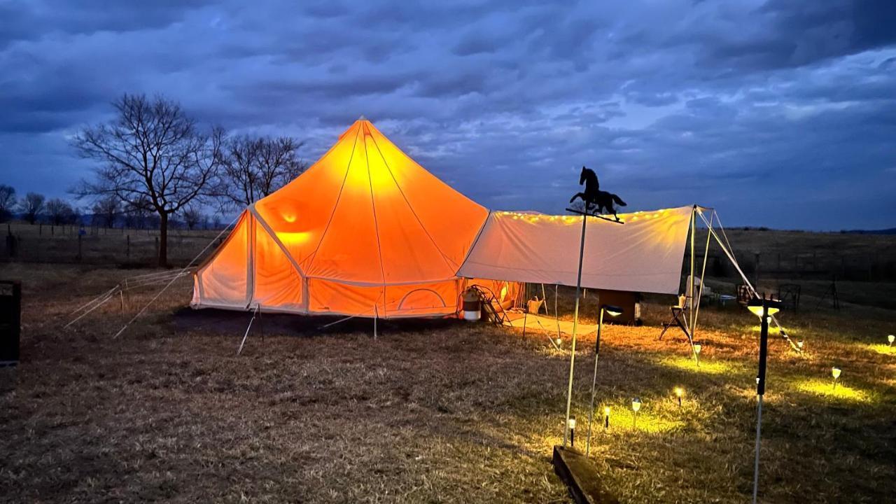 Shenandoah Valley Glamping - Amazing Views - Farm Edinburg Exteriér fotografie