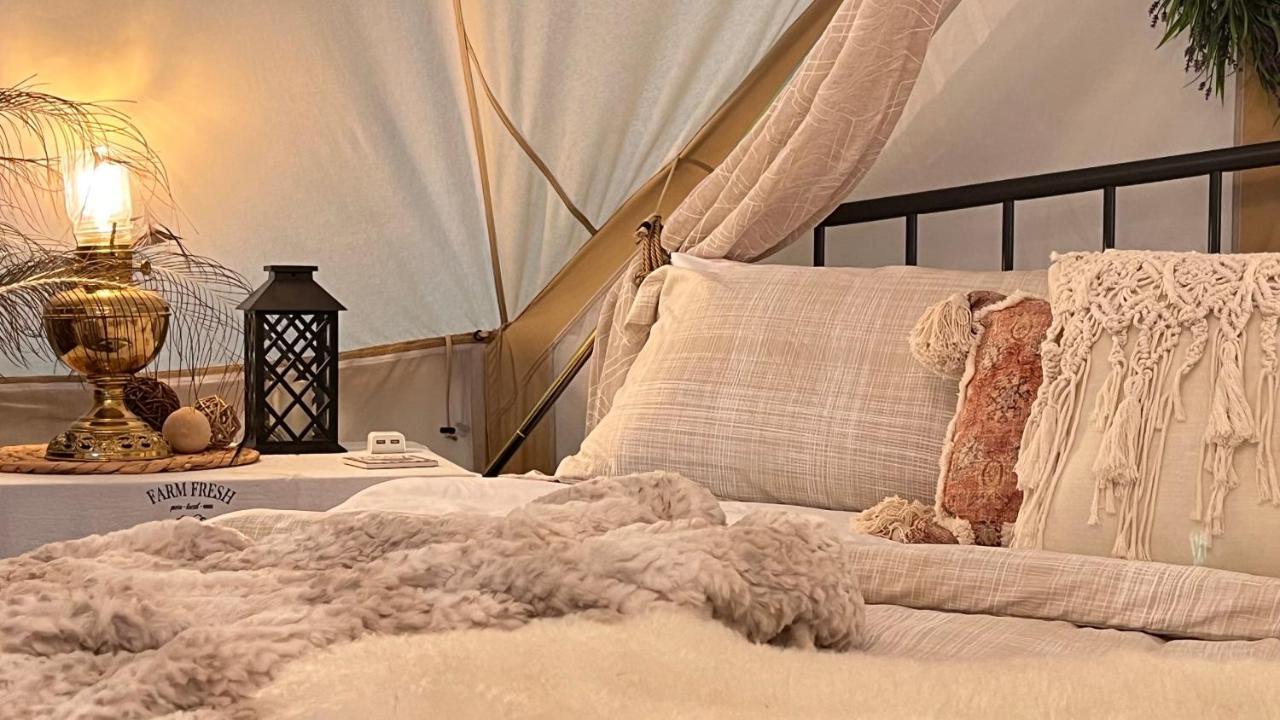 Shenandoah Valley Glamping - Amazing Views - Farm Edinburg Exteriér fotografie