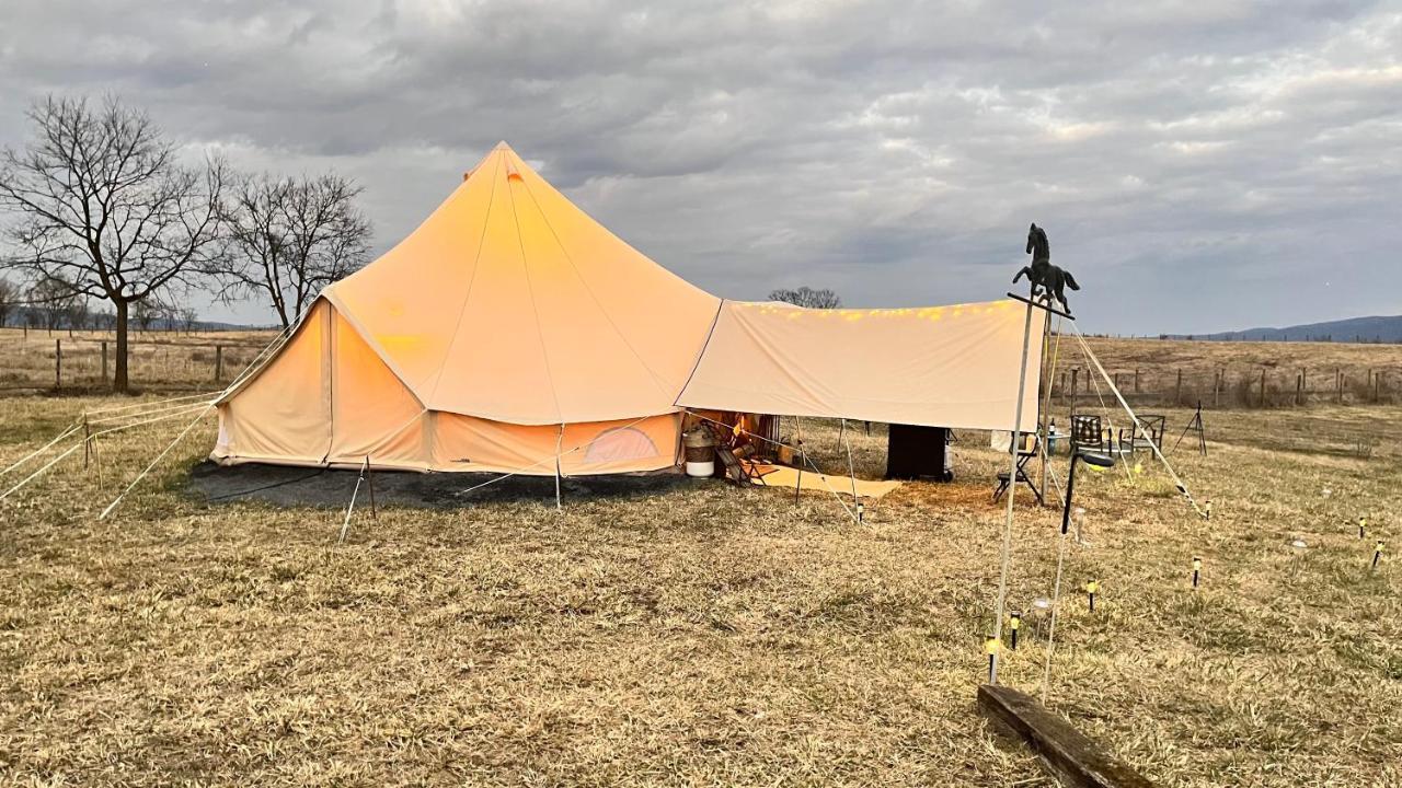 Shenandoah Valley Glamping - Amazing Views - Farm Edinburg Exteriér fotografie