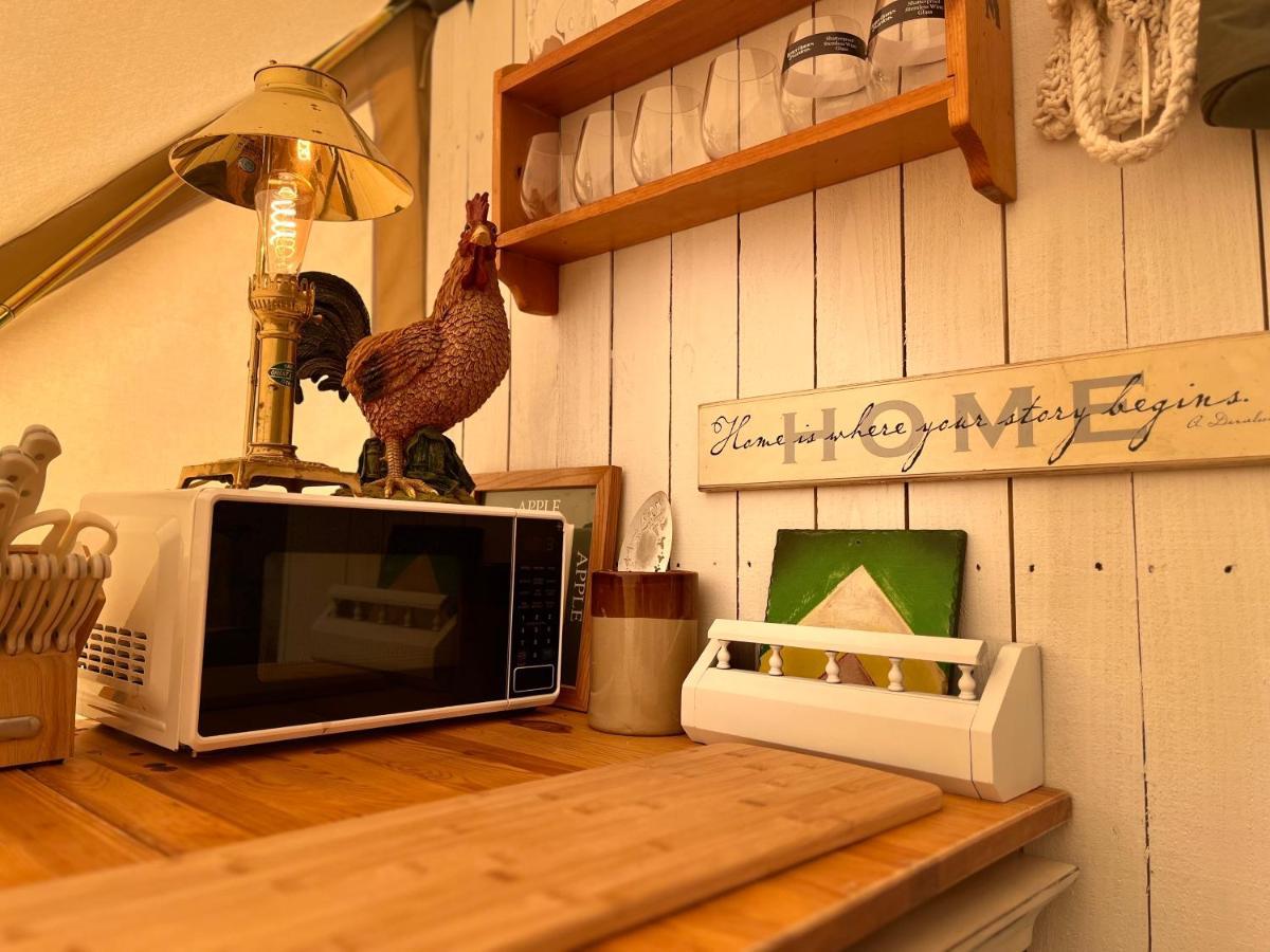 Shenandoah Valley Glamping - Amazing Views - Farm Edinburg Exteriér fotografie
