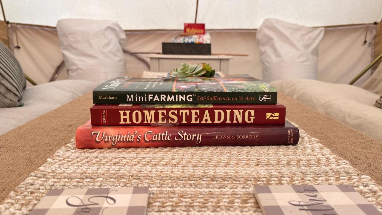 Shenandoah Valley Glamping - Amazing Views - Farm Edinburg Exteriér fotografie