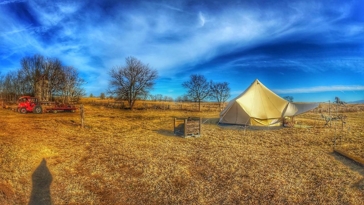 Shenandoah Valley Glamping - Amazing Views - Farm Edinburg Exteriér fotografie