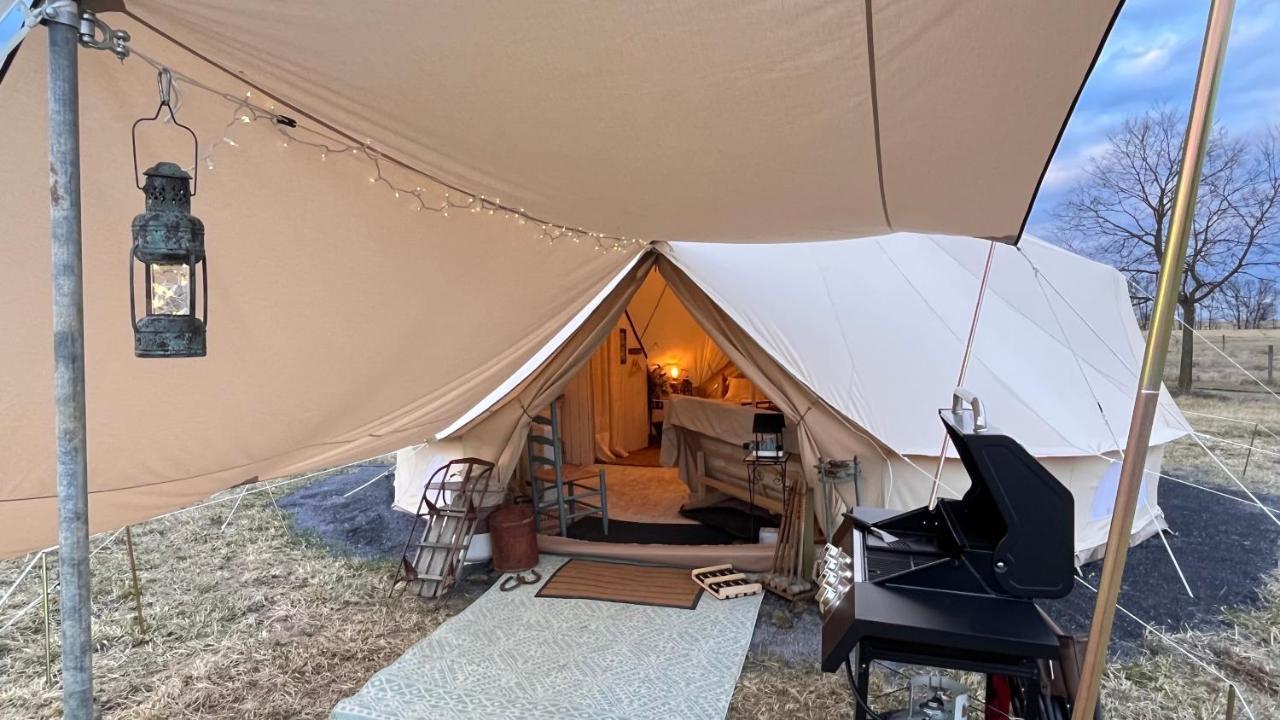 Shenandoah Valley Glamping - Amazing Views - Farm Edinburg Exteriér fotografie