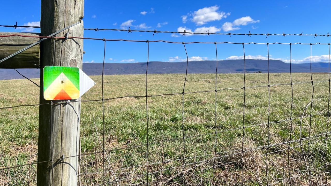 Shenandoah Valley Glamping - Amazing Views - Farm Edinburg Exteriér fotografie