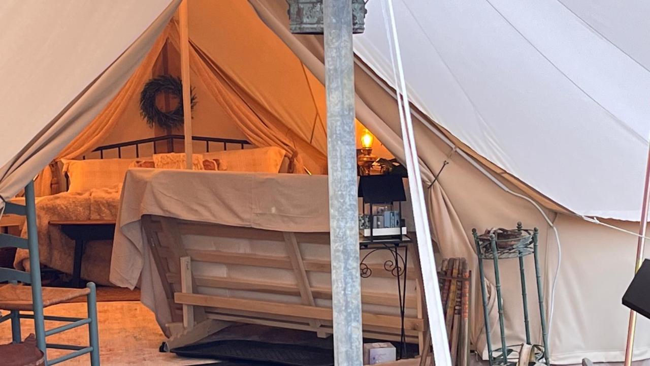 Shenandoah Valley Glamping - Amazing Views - Farm Edinburg Exteriér fotografie